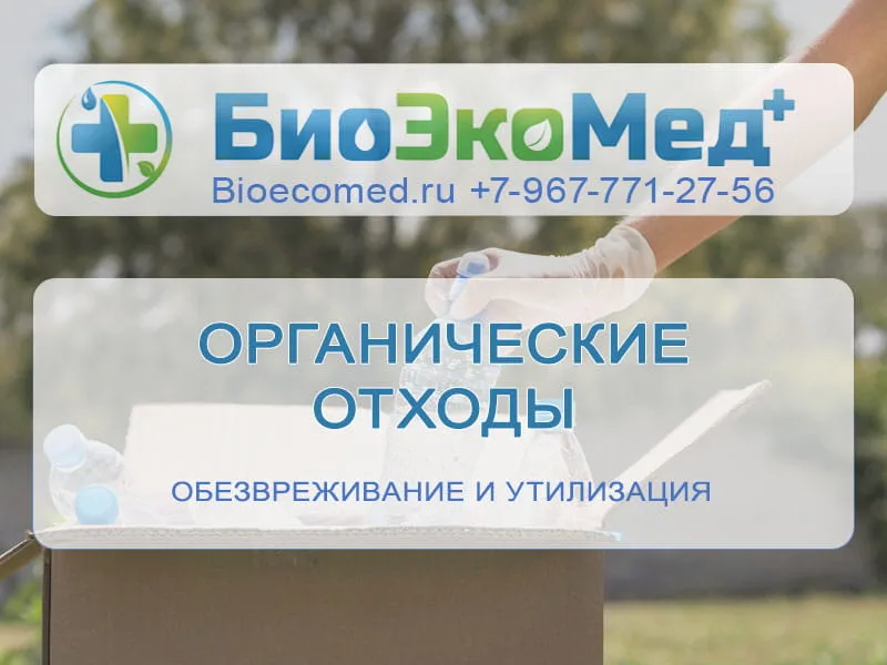 Органические отходы